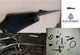 Gun Blue After